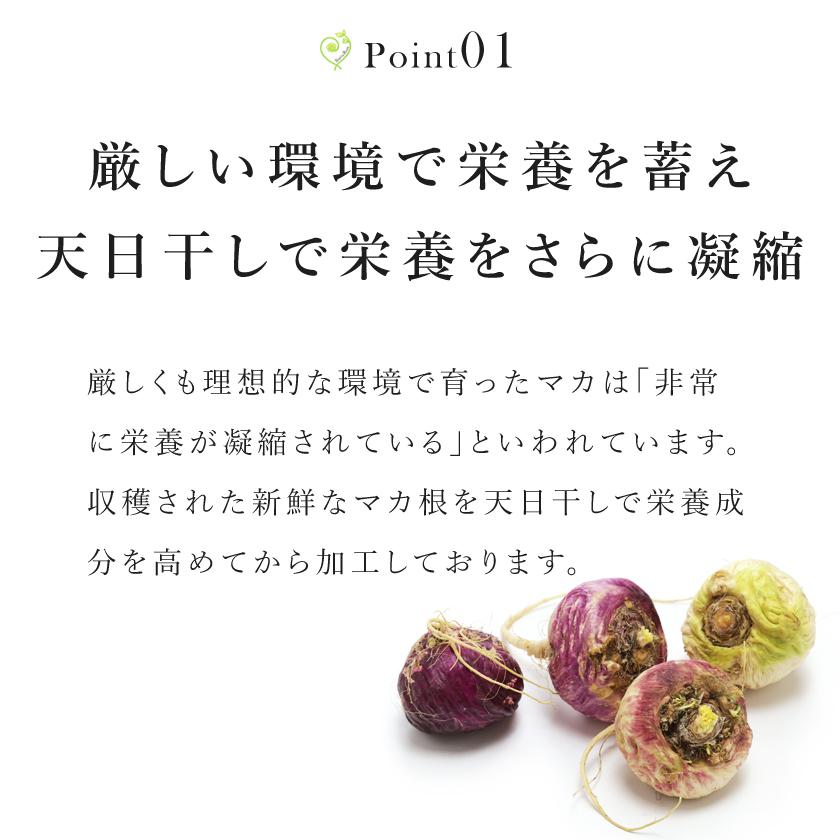 マカ粉末 マカパウダー オーガニック マカ パウダー 100g 有機JAS サプリメント アルギニン 農薬不使用 高品質 | オーガニック | 06
