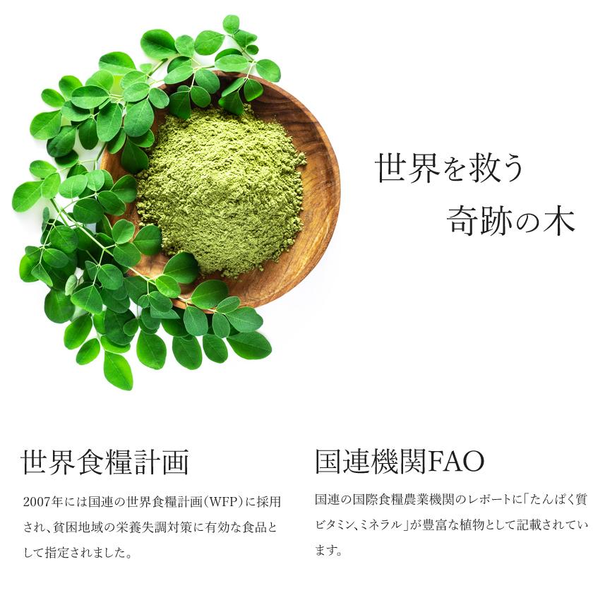 モリンガ パウダー 100g オーガニック 有機JAS 無添加 無農薬 モリンガ茶 モリンガパウダー 粉末 モリンガティー 青汁 非遺伝子組み換え 国内蒸気殺菌｜santarosa｜07