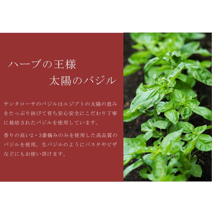 バジル 40g 有機JAS オーガニック ドライバジル スイートバジル エジプト産 バジリコ メボウキ ハーブ スパイス ジェノベーゼ サンタローサ | オーガニック | 04