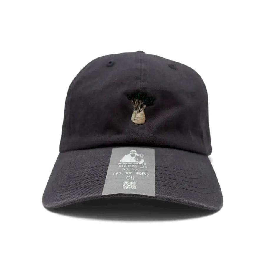 グラキリス ローキャップ パキポディウム Pachypodium cap 帽子 男女