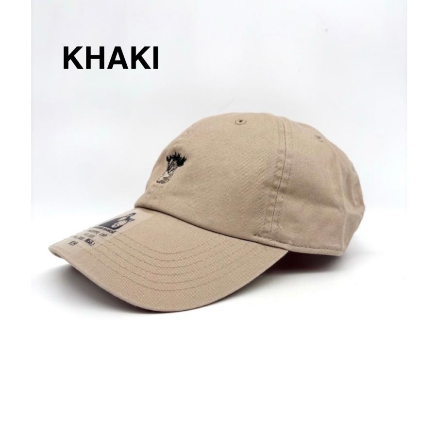 ✳︎グラキリス✳︎ グラキリス ローキャップ パキポディウム Pachypodium cap 帽子 男女