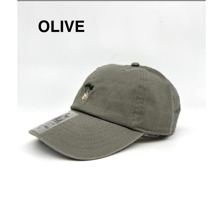 グラキリス ローキャップ パキポディウム Pachypodium cap 帽子 男女