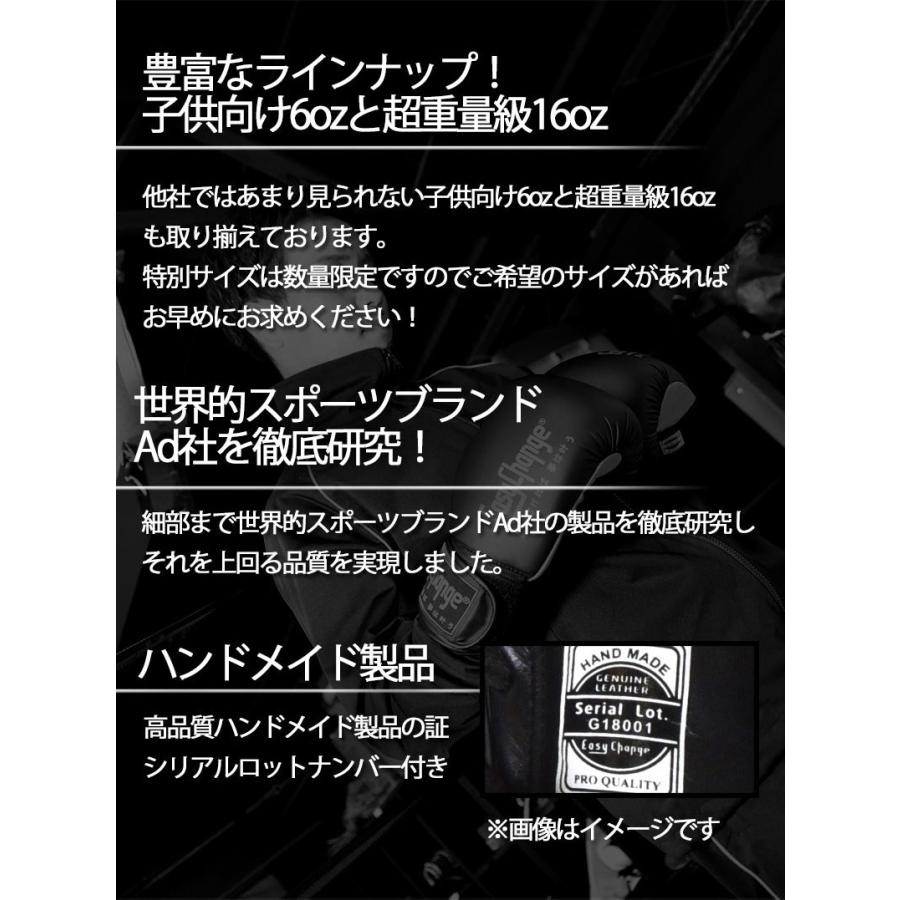 ISAMI Easy Change ボクシンググローブ セット ISAMI Easy Change ボクシンググローブ セット