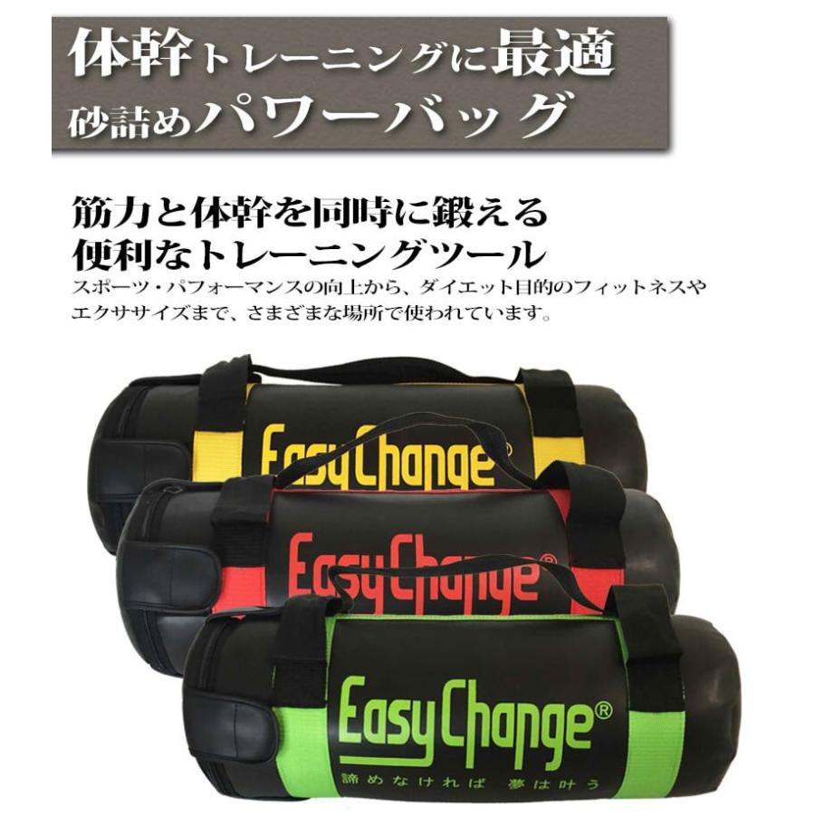 トレーニングバッグ パワーバッグ 10kg 15kg 20kg 筋トレ グッズ