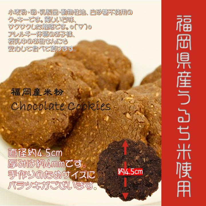 米粉チョコクッキー グルテンフリー ヴィーガン 米粉100 小麦粉 卵 乳製品 動物性食品 不使用 アレルギー対応 ダイエット 授乳中 Sante Cafe まる 通販 Yahoo ショッピング