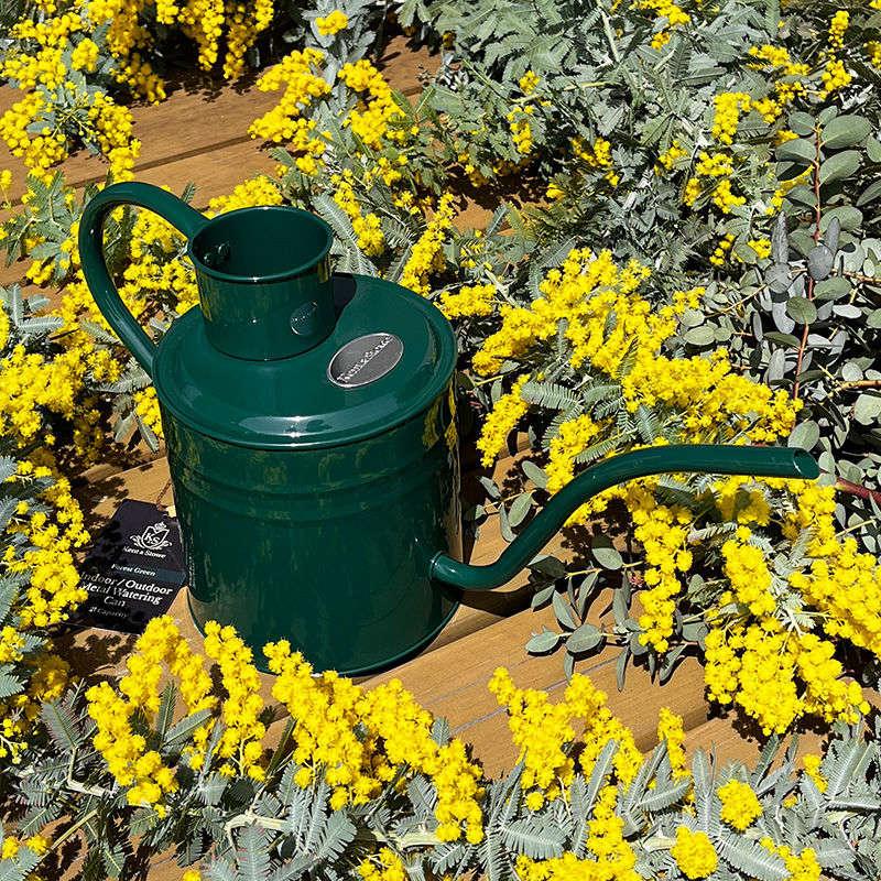 インドア メタル ジョウロ 2L グリーン 水差し K＆S 英国ブランド 花瓶