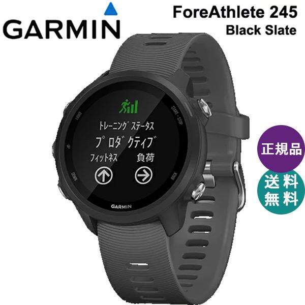 garmin 245 pay