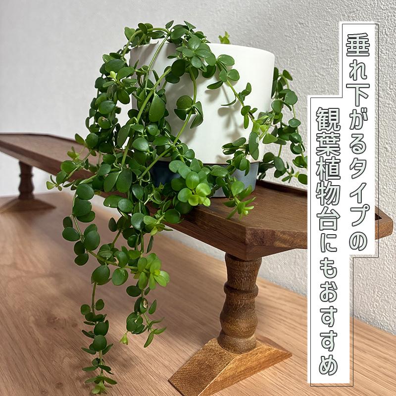 木製 トレー 脚付き S 飾り台 置くものを引き立てる飾り棚 組立式