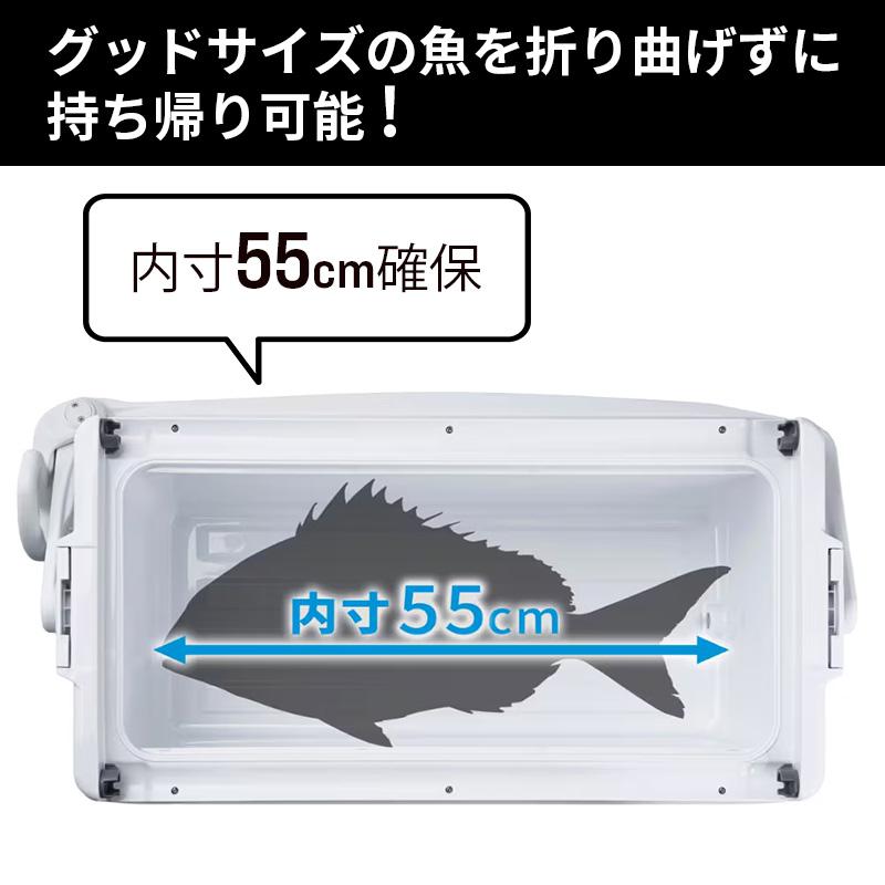 シマノ（SHIMANO） ND-430Z UNIFREEZE ユニフリーズ TD 30L キャスター