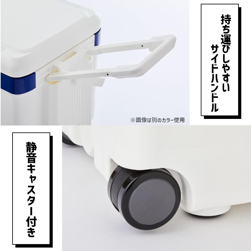 DAIWA（ダイワ） クーラーボックス 35L DAIWA プロバイザートランクHD2