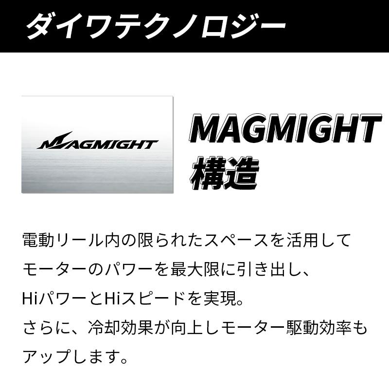 DAIWA（ダイワ） 23 レオブリッツ 300J LEOBRITZ 電動リール 3252259