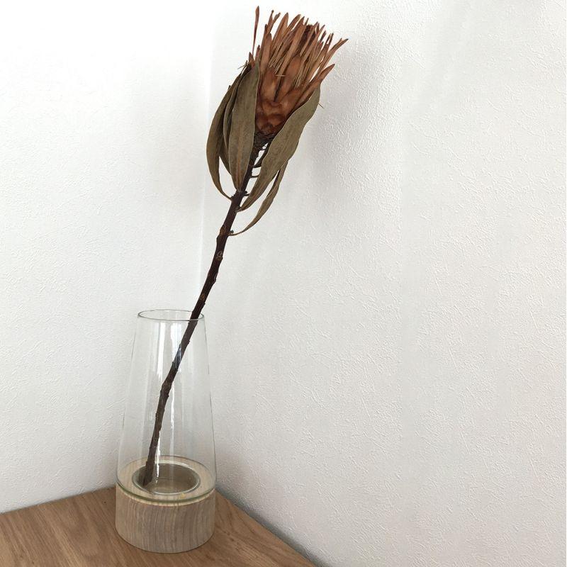 花瓶 ガラス 北欧 おしゃれ 木製ベース 母の日 土台付き花瓶 木と