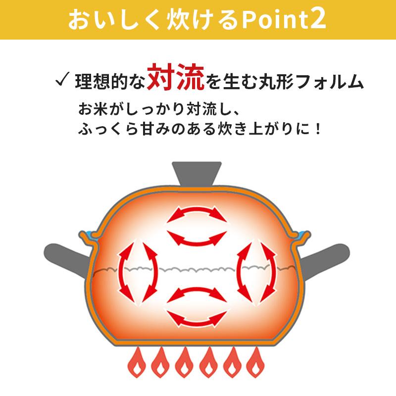 Vita Craft（ビタクラフト） ごはん鍋 GOHAN IH対応 ガス火対応 3合