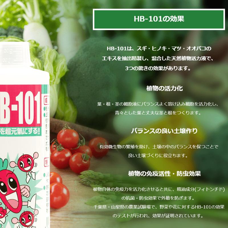 フローラ HB-101 100cc 2本セット 4522909000012 植物活力液 園芸