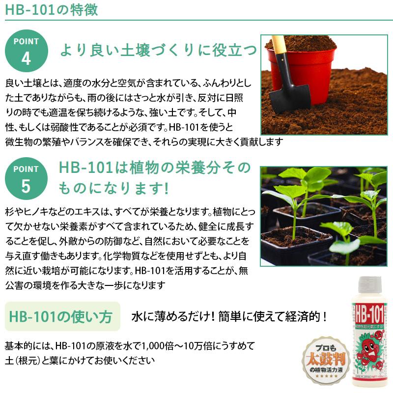 新品未開封  フローラ HB-101  100cc 5本セット フローラ 【5本セット】フローラ 植物活力液 HB-101 100cc【宅配便で
