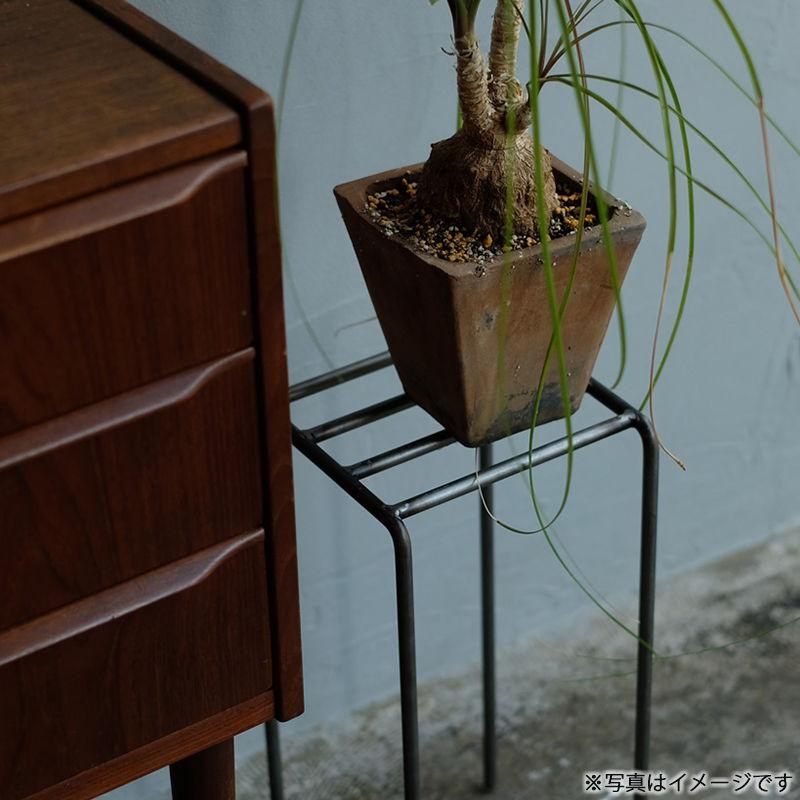 WEST VILLAGE TOKYO（ウェストビレッジトーキョー） 爆買 プランター