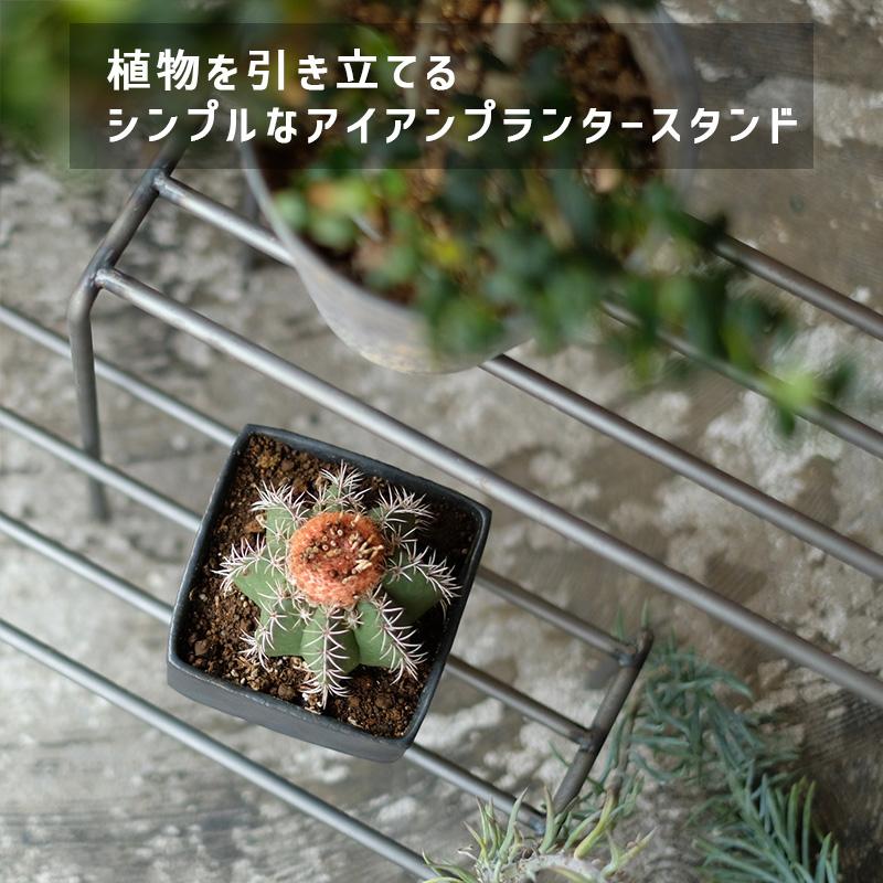プランタースタンド　アイアン　3個セット WEST VILLAGE TOKYO（ウェストビレッジトーキョー） プランター