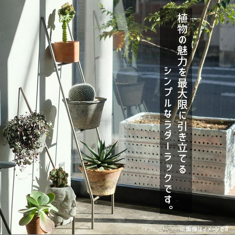 WEST VILLAGE TOKYO（ウェストビレッジトーキョー） KNOP ladder rack