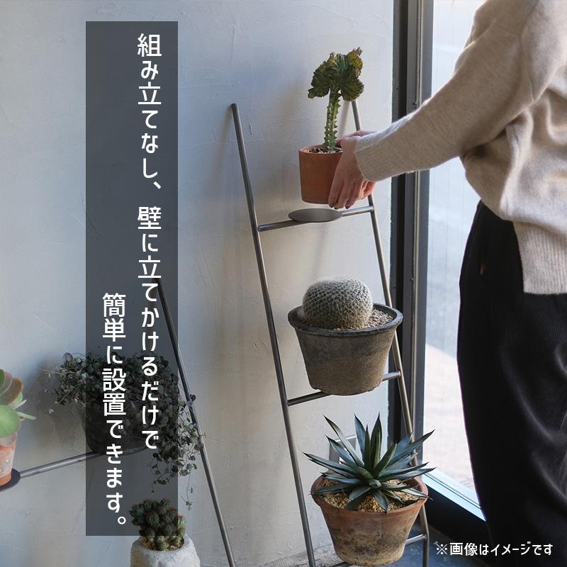 WEST VILLAGE TOKYO（ウェストビレッジトーキョー） KNOP ladder rack