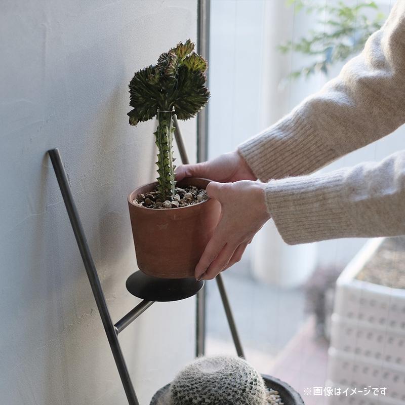 WEST VILLAGE TOKYO（ウェストビレッジトーキョー） KNOP ladder rack