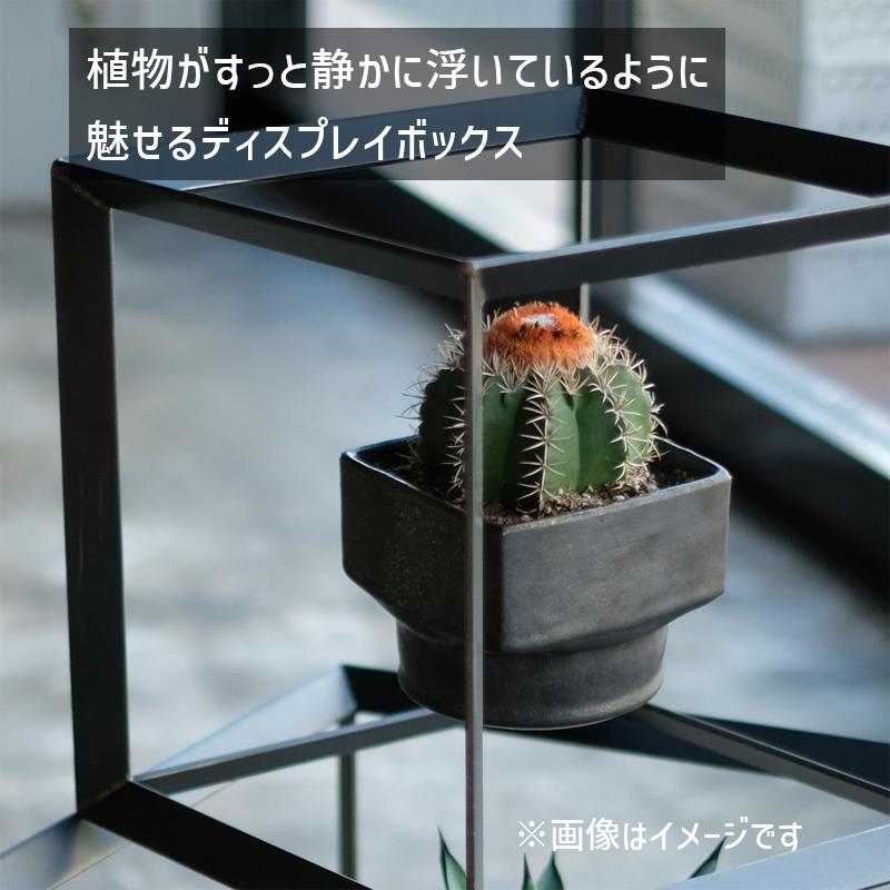WEST VILLAGE TOKYO ODD CUBIC BOX(M) ディスプレイボックス WEST VILLAGE TOKYO ODD CUBIC BOX(M) ディスプレイボックス