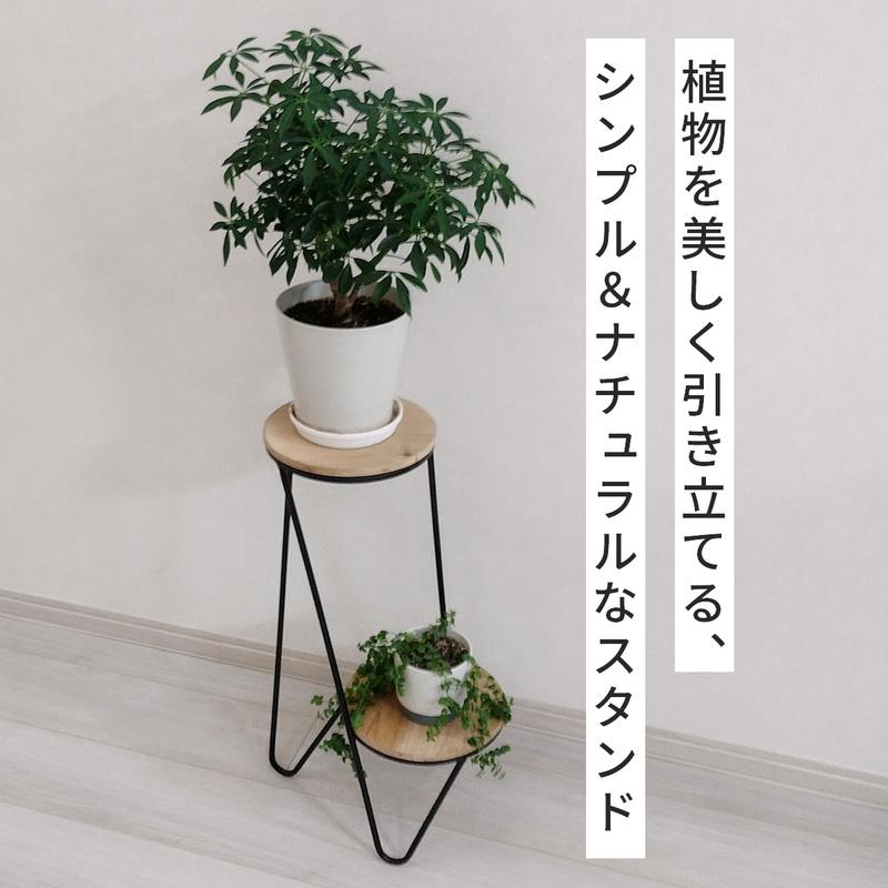 新品　Willing plant atahetas Iron pot 125㎜ 2026年最新】willing plantの人気アイテム - メルカリ