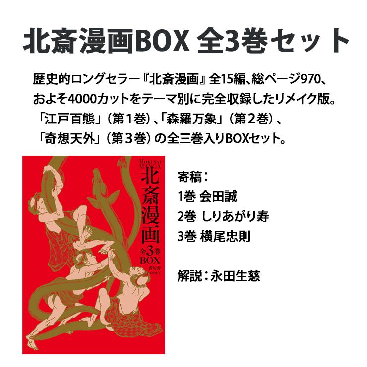 青幻舎 爆買 ビジュアル文庫 北斎漫画BOX 全三巻セット 9784861523106