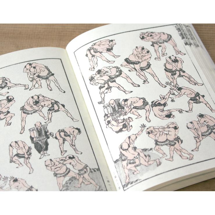 青幻舎 ビジュアル文庫 北斎漫画BOX 全三巻セット 9784861523106