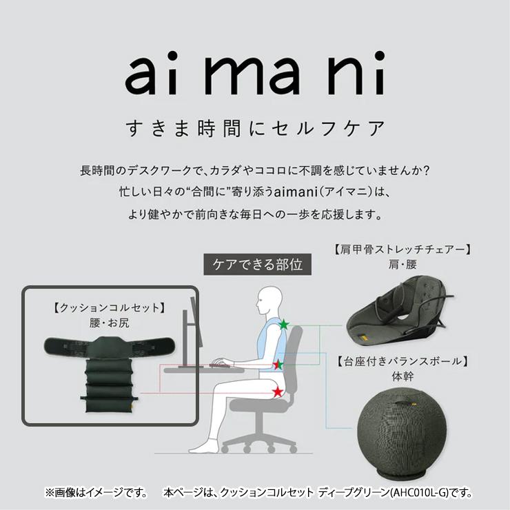 KING JIM（キングジム） クッションコルセット Lサイズ ディープ