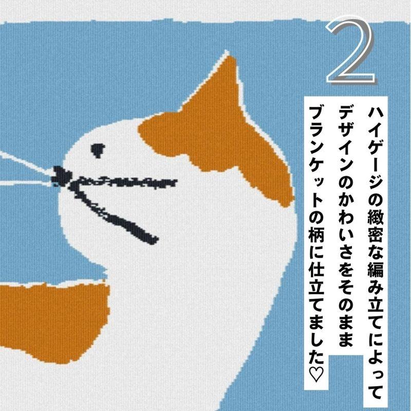ブランケット ひざ掛け 120x80 ニット 北村人 三毛猫 ミケ 花 ねこ