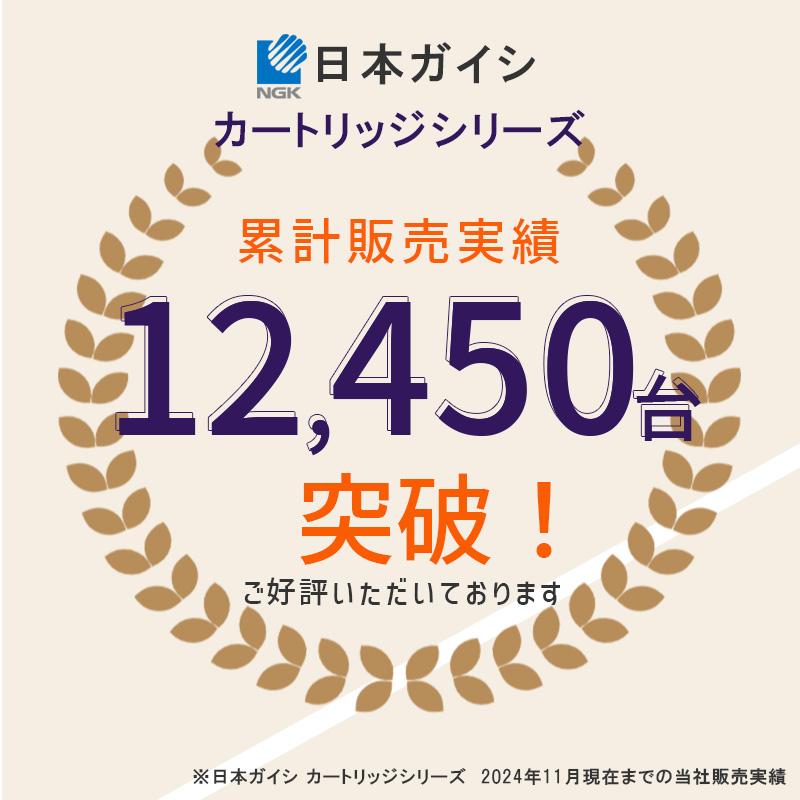 日本ガイシ CWA-01 NGK 浄水器交換用カートリッジ C1 シーワン CW-101