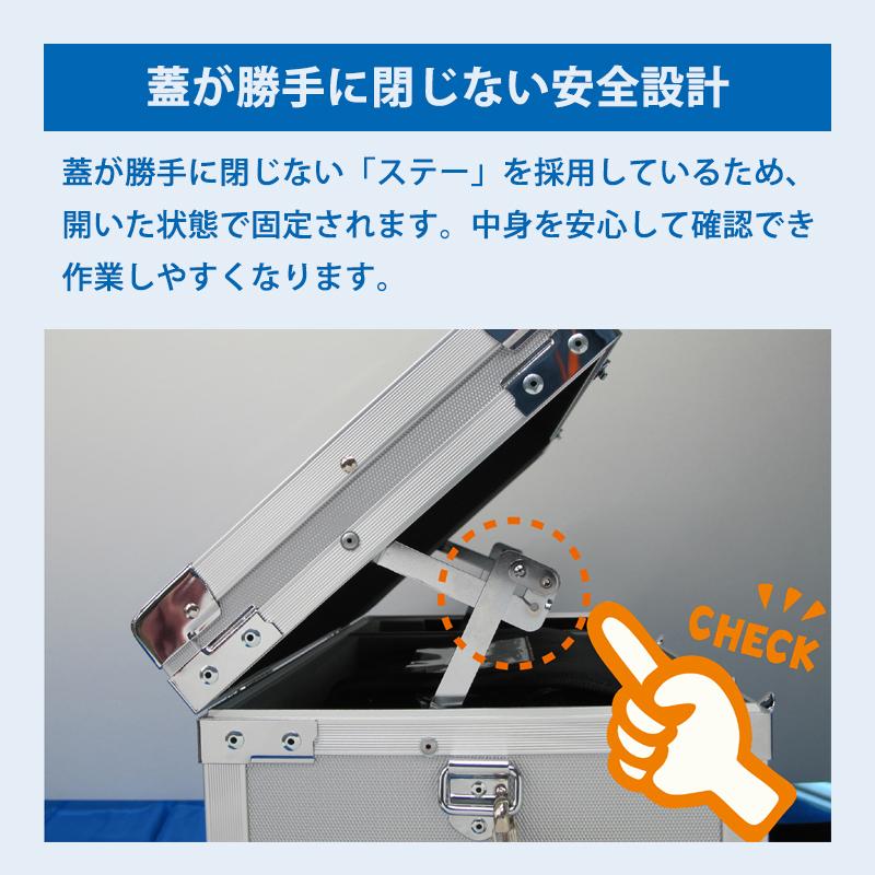マスプロ（MASPRO） レベルチェッカー用 ハードケース (LCV4A専用) LCV