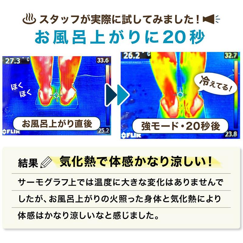 THANKO 乗れる扇風機 お風呂あがり全身爽快 のる扇風機「のれせん2