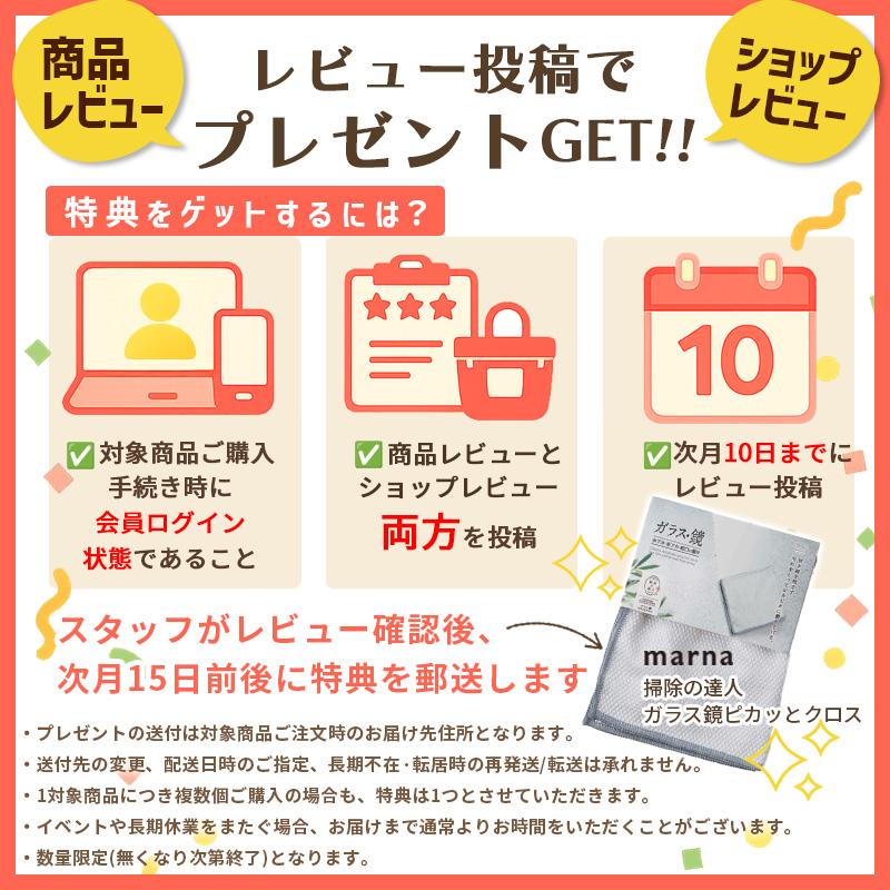 TEORI（テオリ） 正規取扱店 ZERO ミラー M 乳白 40cm P-ZMW TEORI 鏡