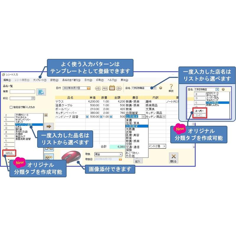 テクニカルソフト てきぱき家計簿マム10 図解マニュアル付 Windows11