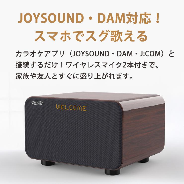 TO-PLAN アンプ内蔵カラオケスピーカー TKMI-008 サウンドプロMAX