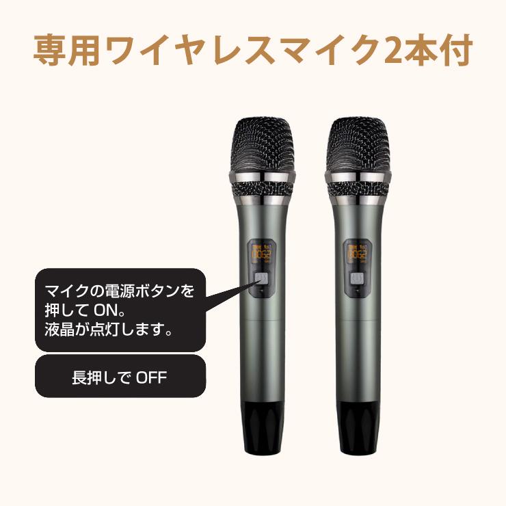 TO-PLAN アンプ内蔵カラオケスピーカー TKMI-008 サウンドプロMAX