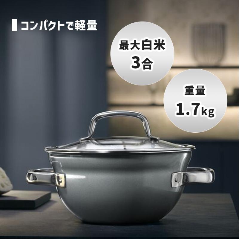 フュージョンテック ミネラル ライスポット 20cm PL プラチナム 両手鍋 