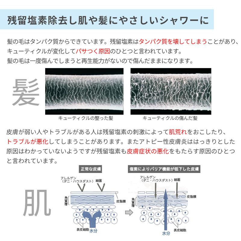 クリンスイ 浄水ウルトラファインバブルシャワーヘッド ブラック WS302