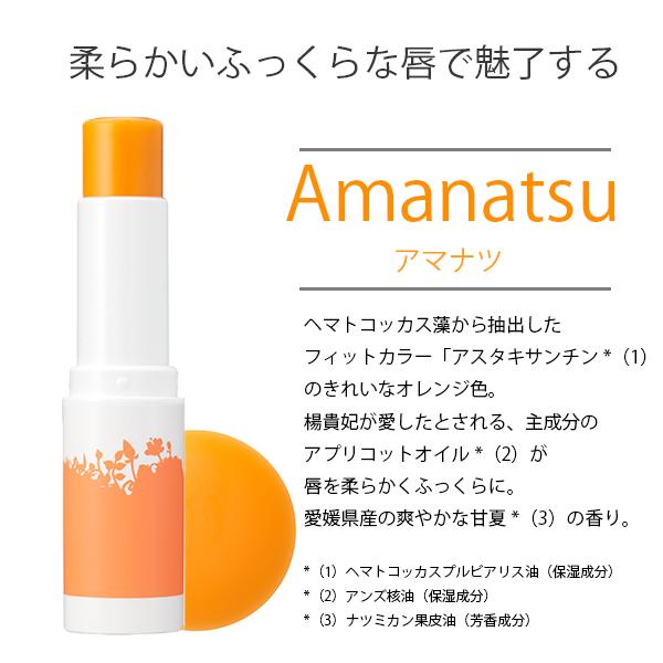 アムリターラ amritara とことんリップケアセット リップセット 口紅 ルージュ 保湿 化粧品 スキンケア 潤い オーガニックコスメ｜santelabo｜02