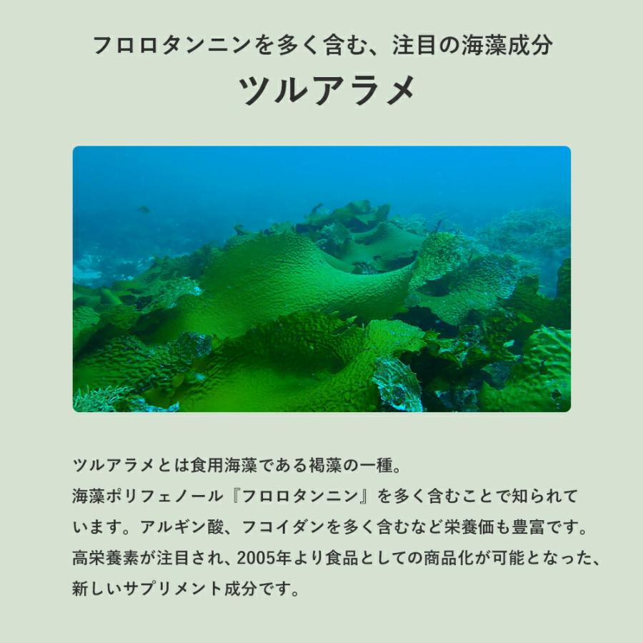 だいじょうぶなもの  ツルアラメ サプリ 海藻 隠岐の西ノ島 60カプセル サプリメント ポリフェノール フコイダン | たかくら新産業 | 04