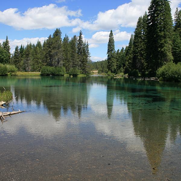 正規品 イースリーライブ BrainON カプセル 90カプセル 54g E3Live