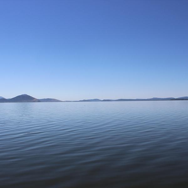 正規品 イースリーライブ BrainON カプセル 90カプセル 54g E3Live