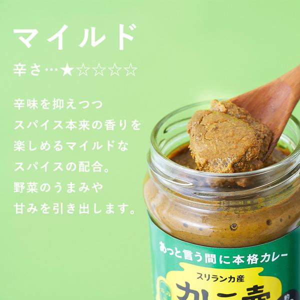 第3世界ショップ カレーの壺 220g マイルド・オリジナル・スパイシー カレー スリランカカレー 時短 カレーペースト｜santelabo｜02