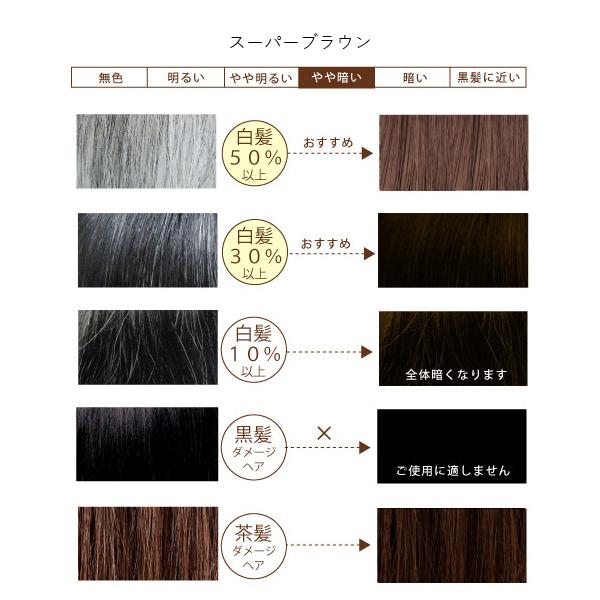 グリーンノート 3個セット ヘナ スーパーブラウン 100g×3 白髪染め