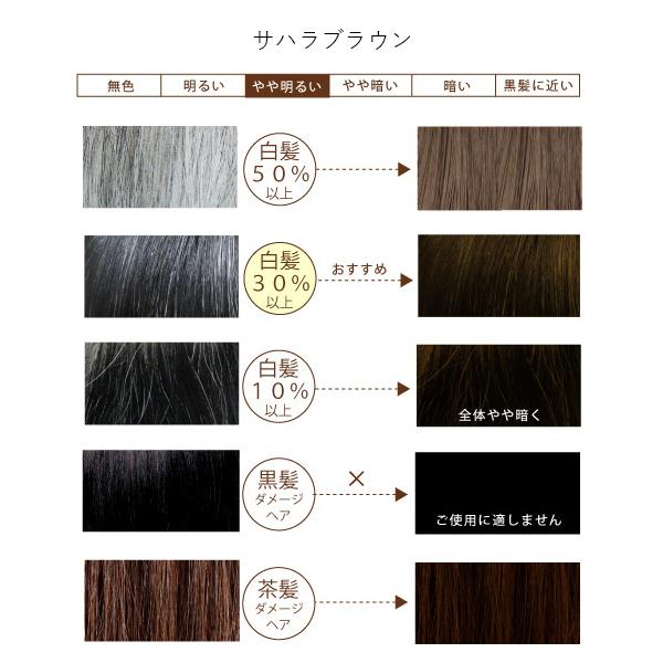 グリーンノート 同色2個セット ヘナ オーガニータ サハラブラウン×2
