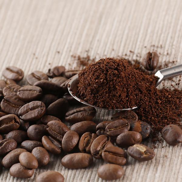 マウントハーゲン ロースト コーヒービーンズ 250g 有機栽培コーヒー フェアトレード 珈琲 ドリップ用粉 オーガニック | MOUNT HAGEN | 03