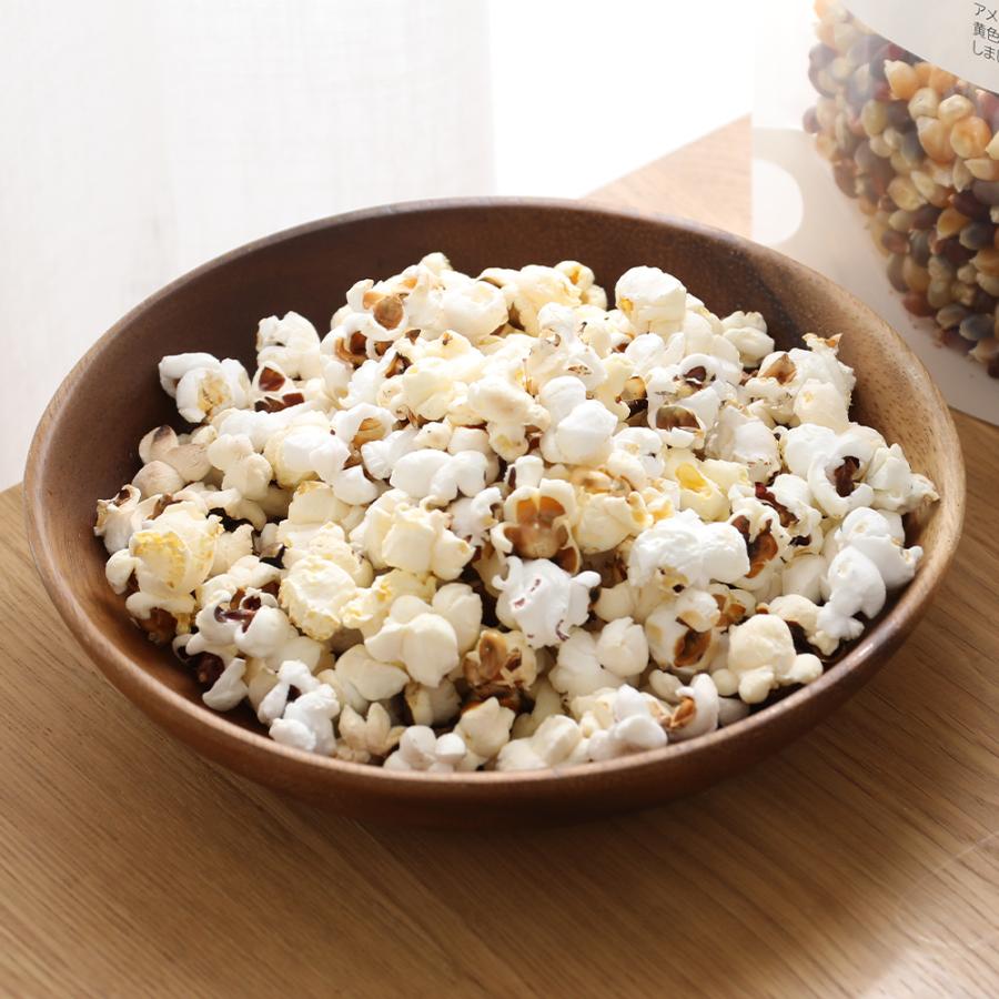 BIO NOWA ビオノワ オーガニック マルチカラーポップコーン 100g 有機