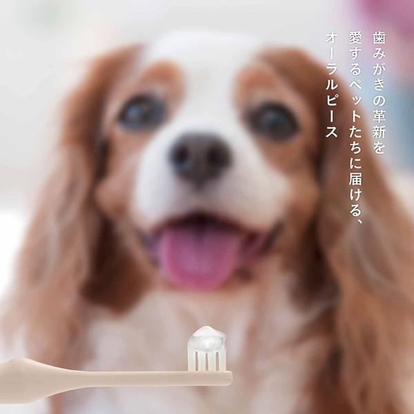 4個セット オーラルピース for PET 歯磨き&口腔ケアジェル 80g ORALPEACE ペット用 犬 猫 歯磨き粉 予防 洗浄