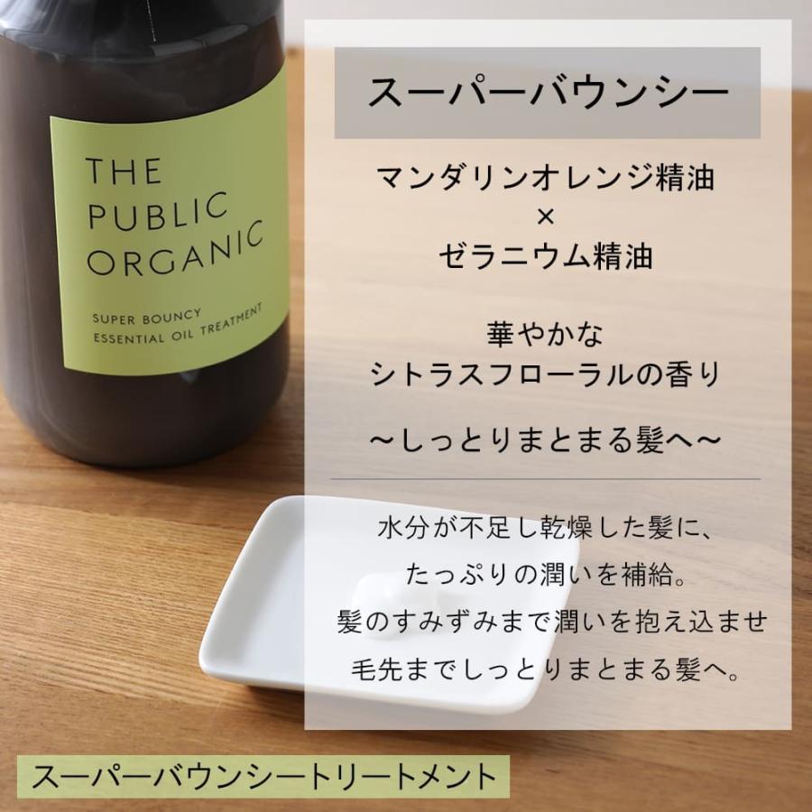 THE PUBLIC ORGANIC（ザ パブリック オーガニック） 本体セット ザ